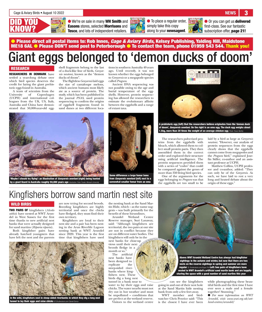 Cage & Aviary Birds Preview Pages