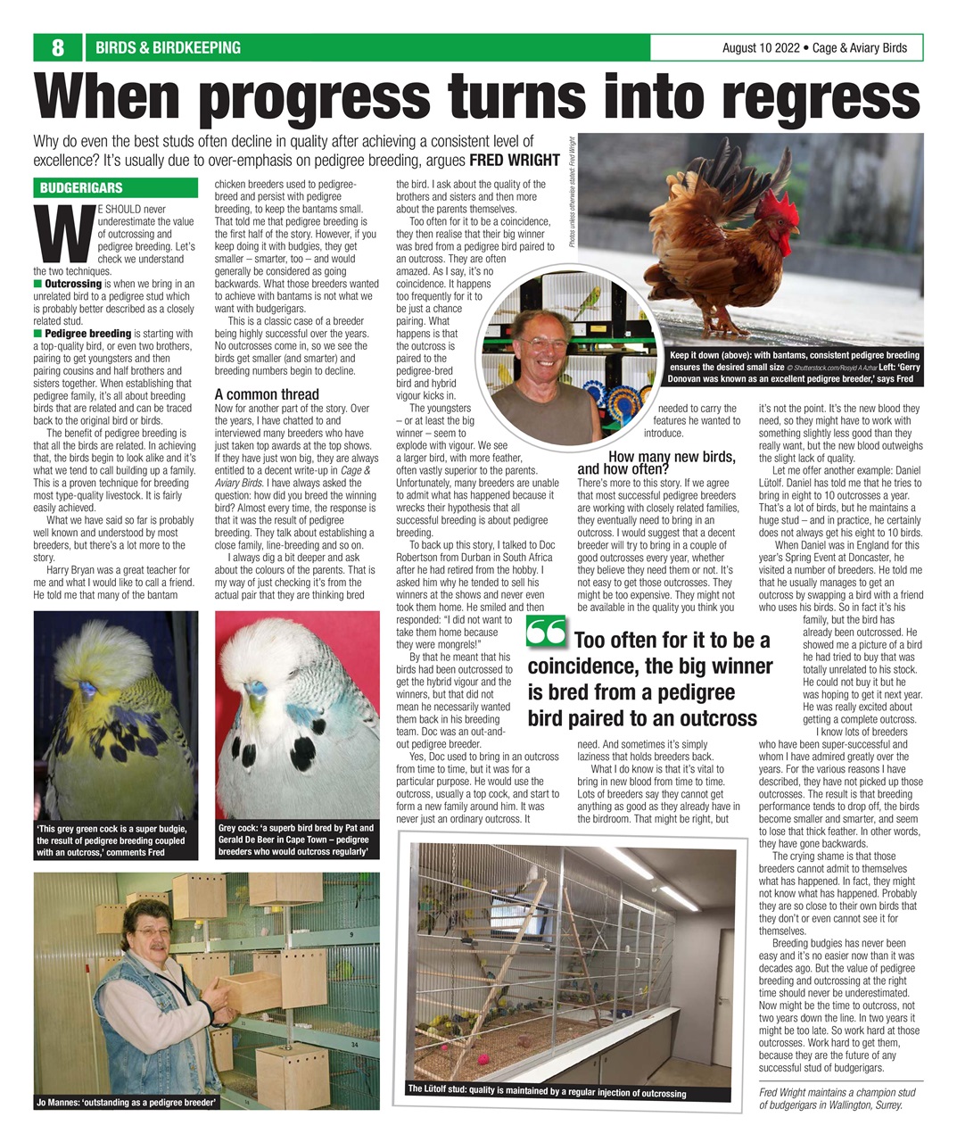 Cage & Aviary Birds Preview Pages