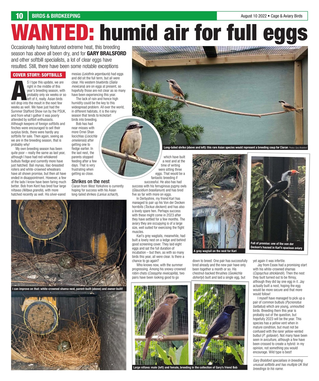 Cage & Aviary Birds Preview Pages