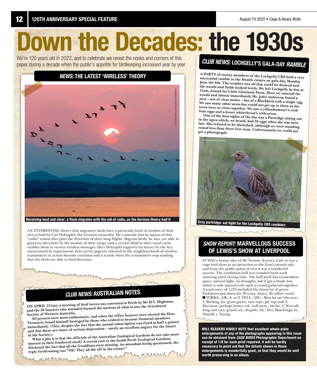 Cage & Aviary Birds Preview Pages