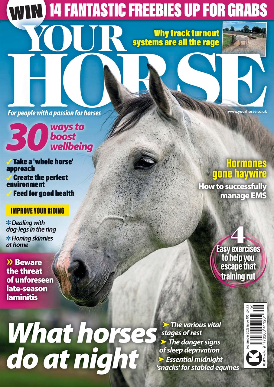Your Horse Preview Pages