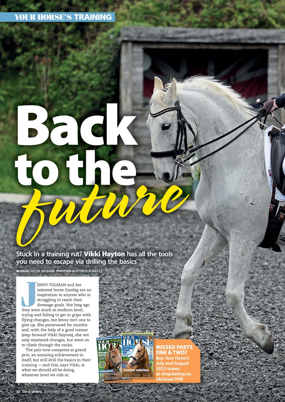 Your Horse Preview Pages