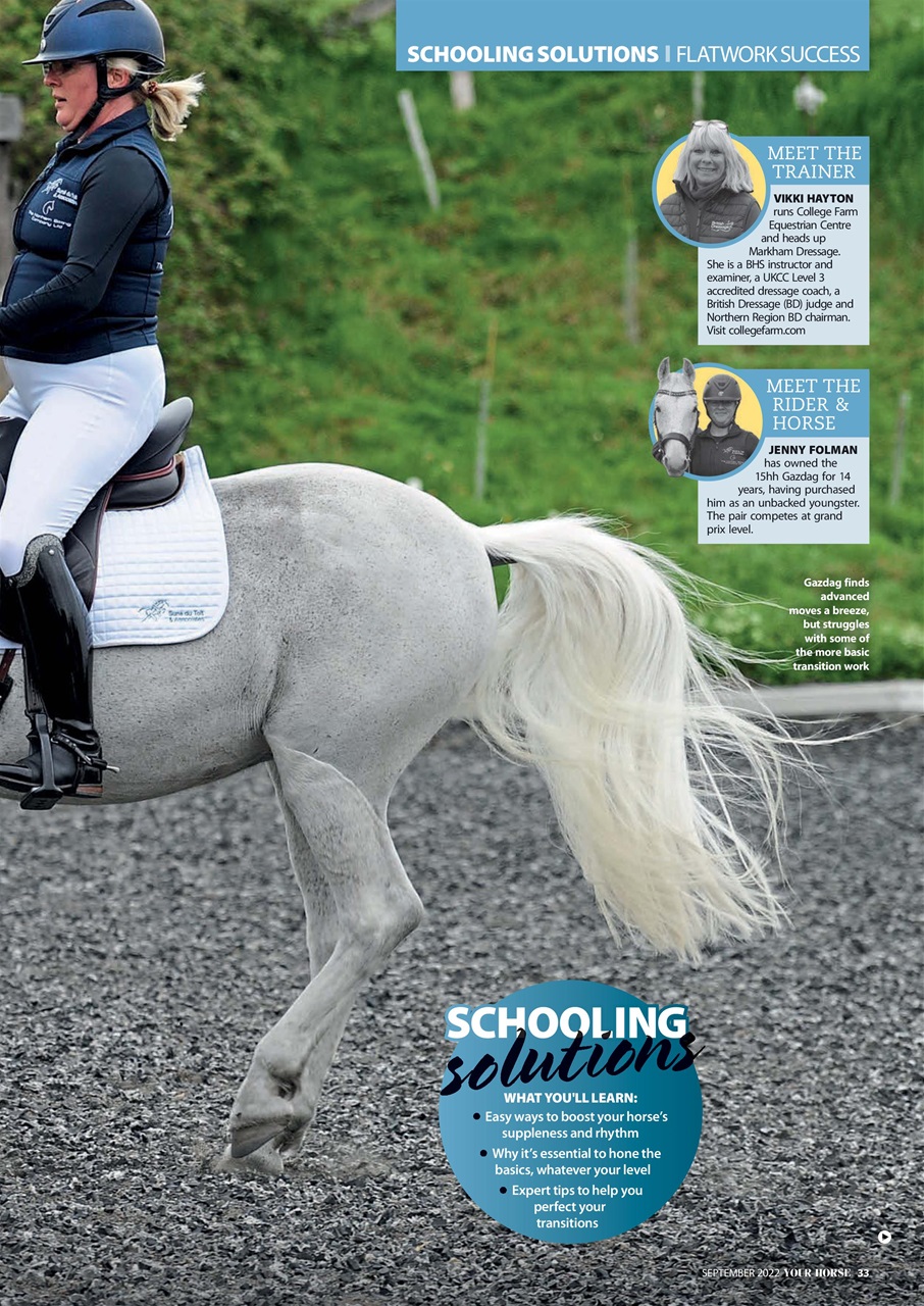 Your Horse Preview Pages