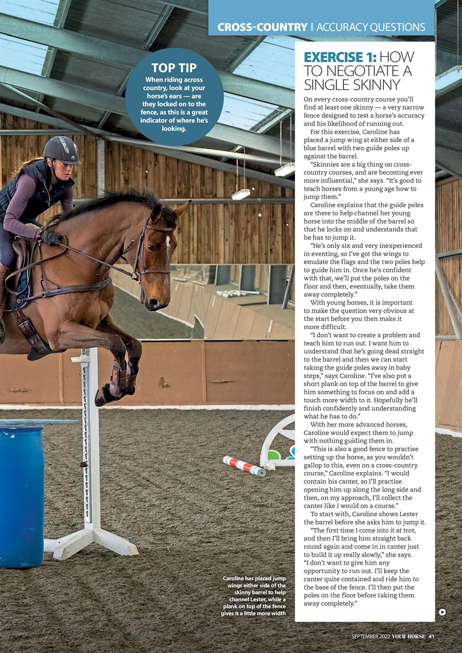 Your Horse Preview Pages