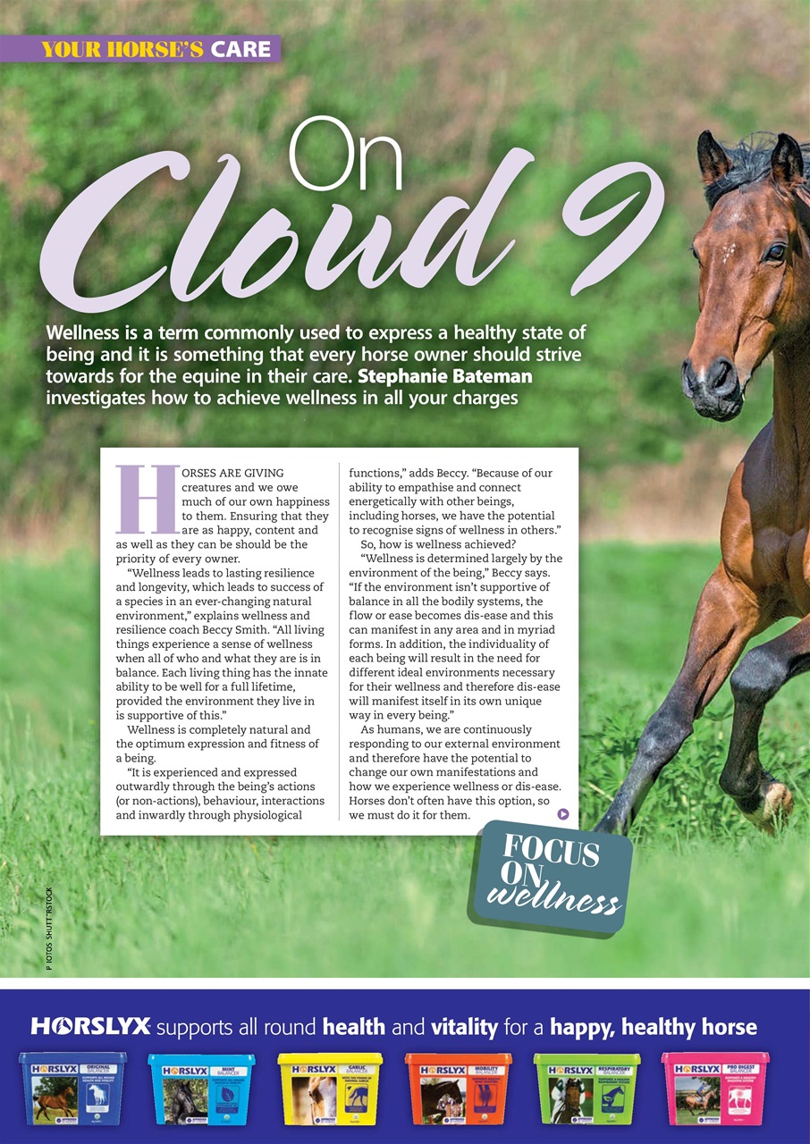 Your Horse Preview Pages