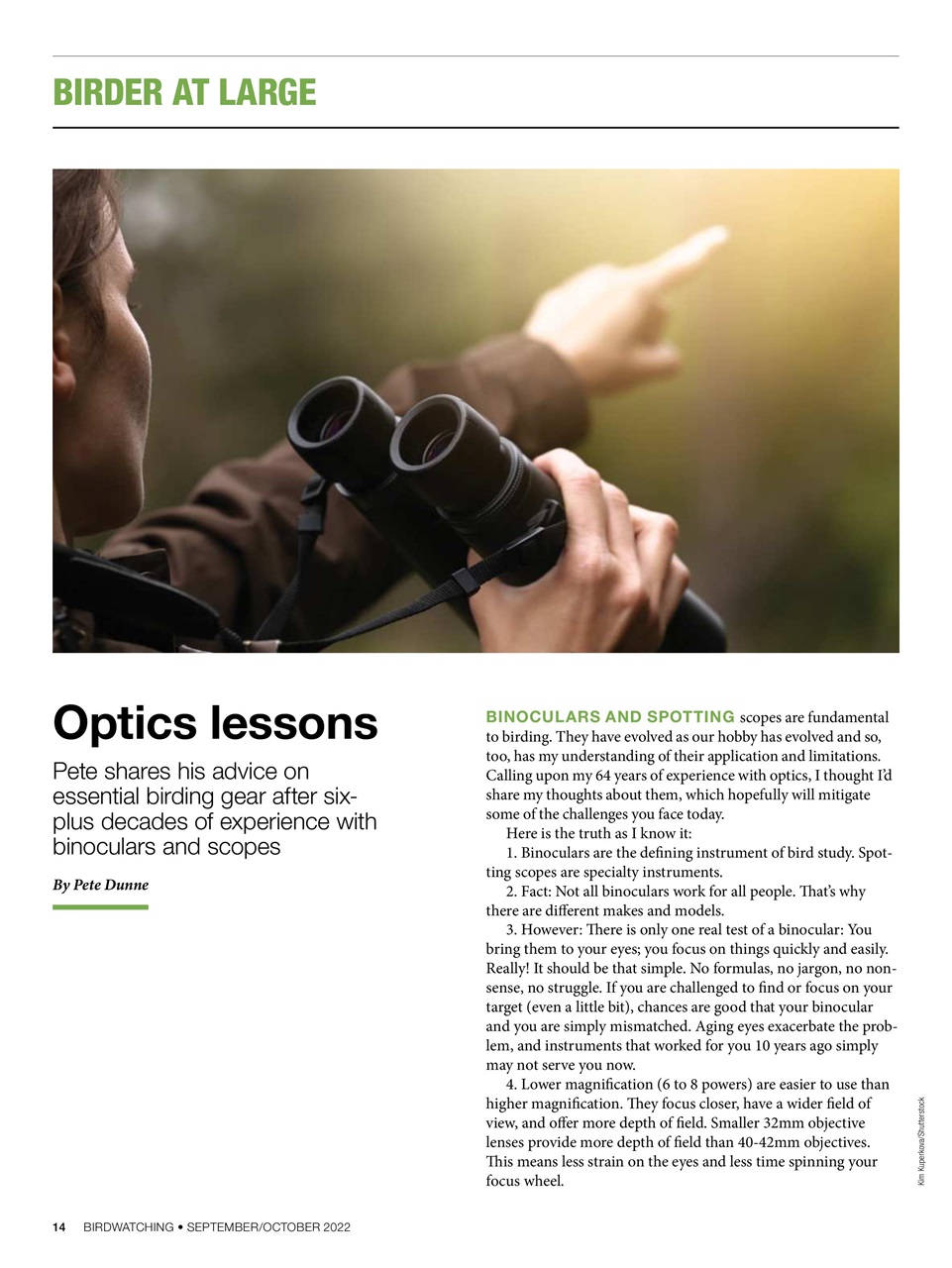 BirdWatching Preview Pages