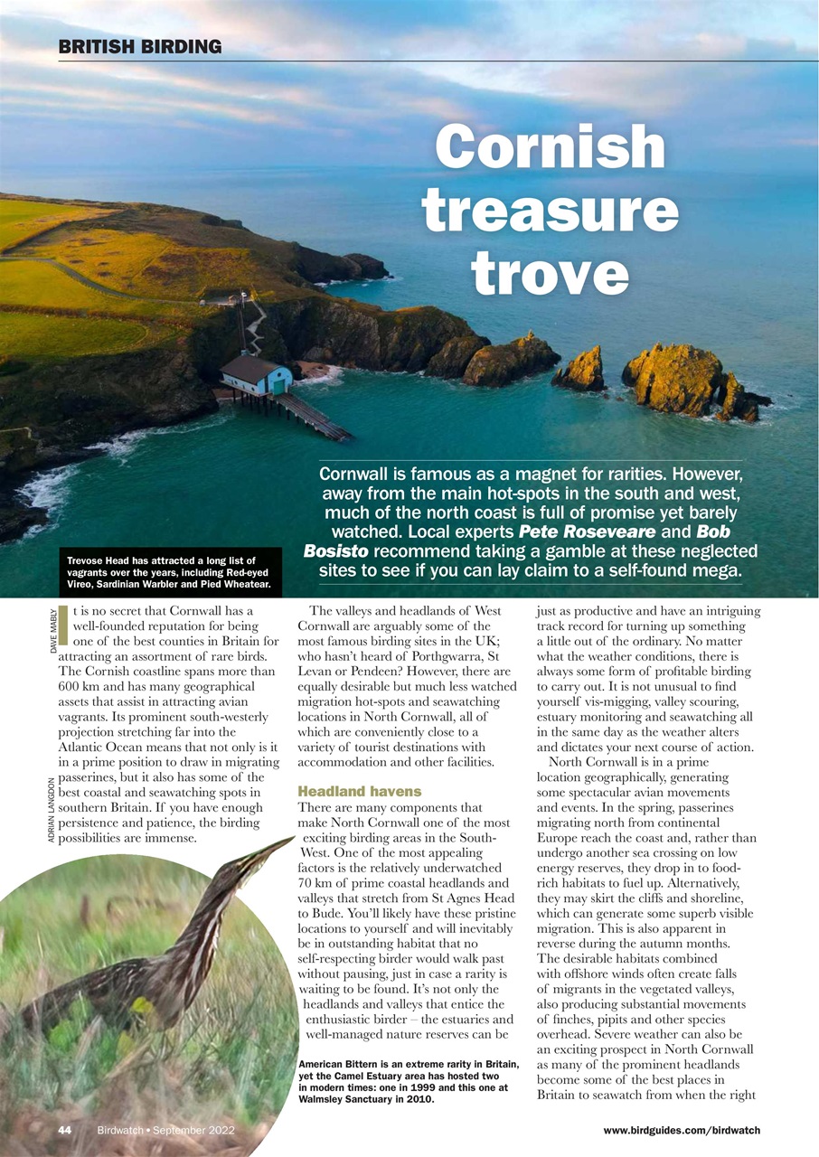 Birdwatch Magazine Preview Pages