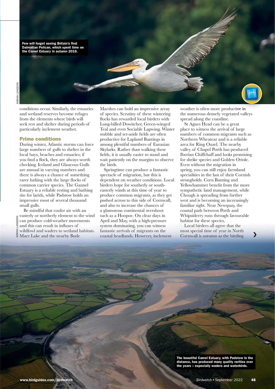 Birdwatch Magazine Preview Pages