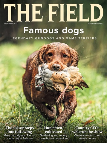 The Field issue FREE Sample Issue