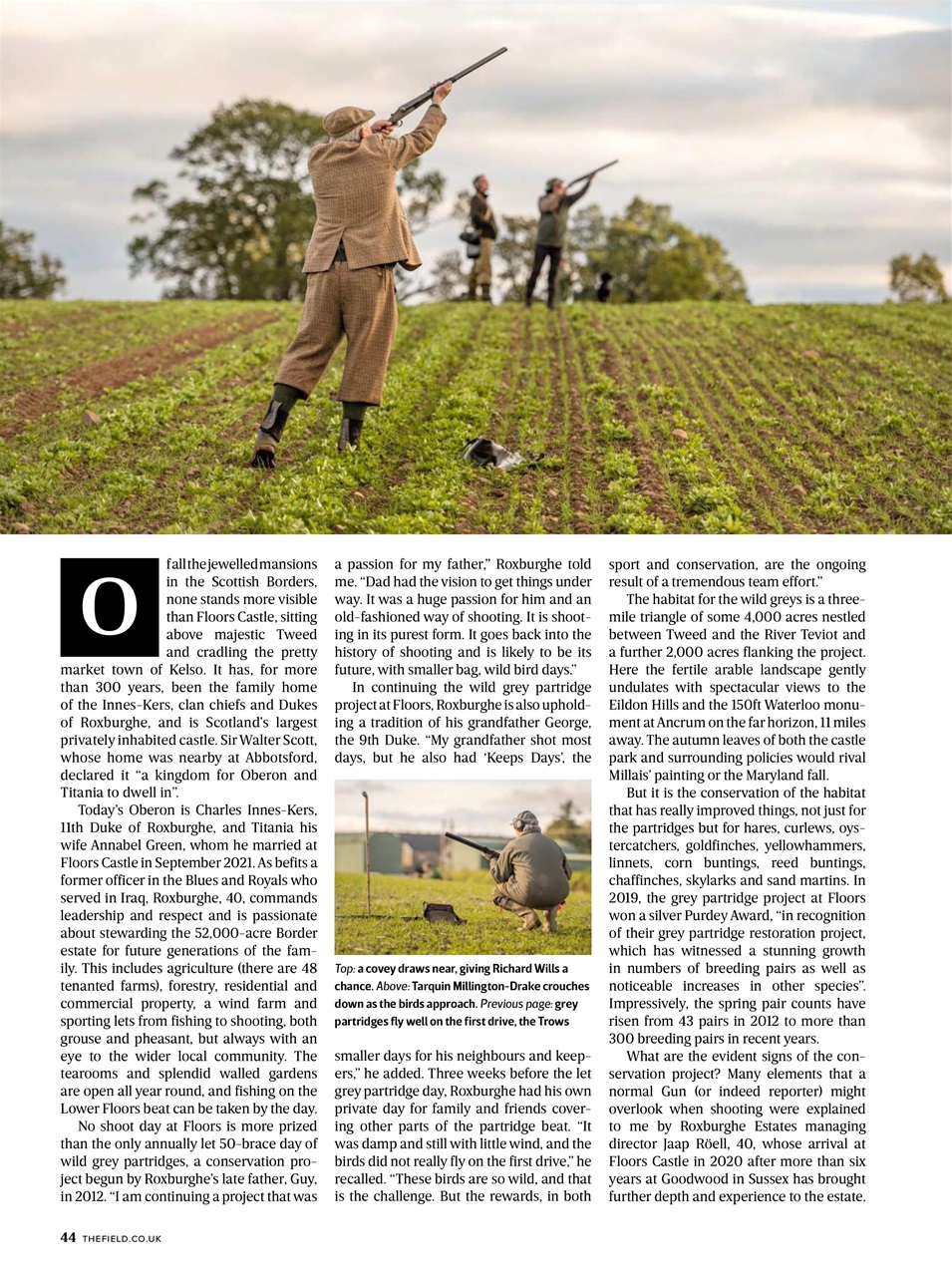 The Field Preview Pages