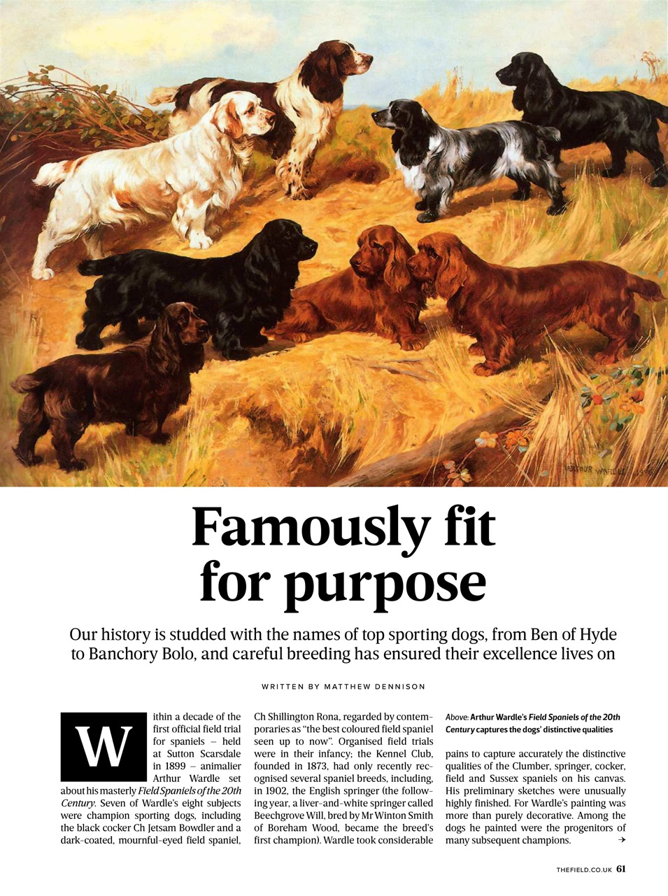 The Field Preview Pages