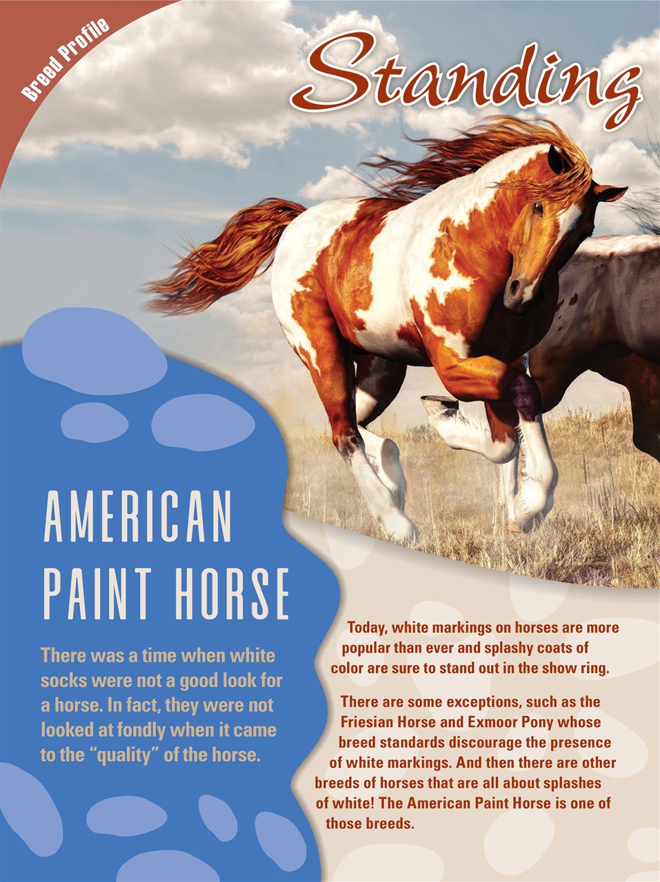 Blaze Magazine For Horse Crazy Kids Preview Pages