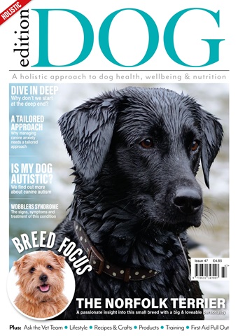 Edition Dog issue Edition Dog Issue 47