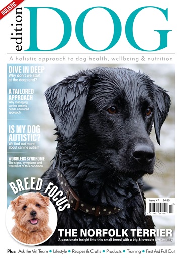 Edition Dog issue 