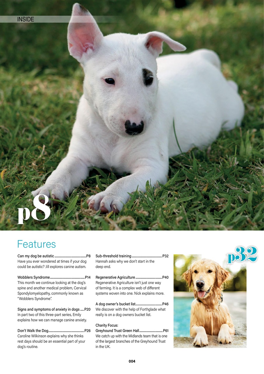 Edition Dog Preview Pages
