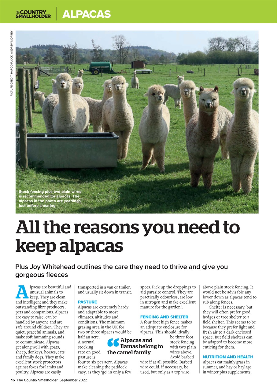 The Country Smallholder Preview Pages