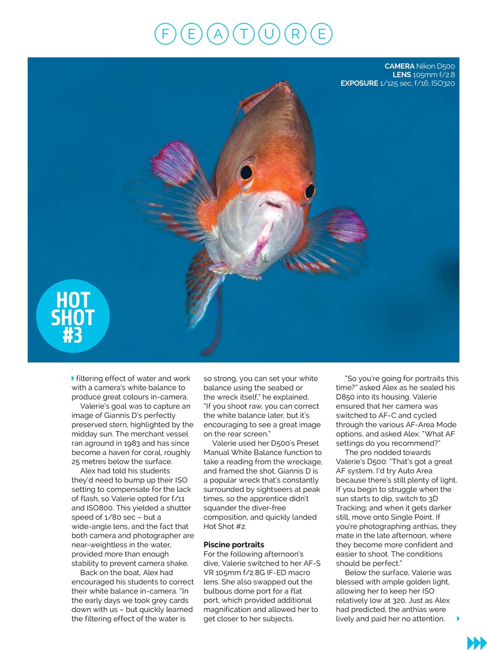 Photography Week Preview Pages