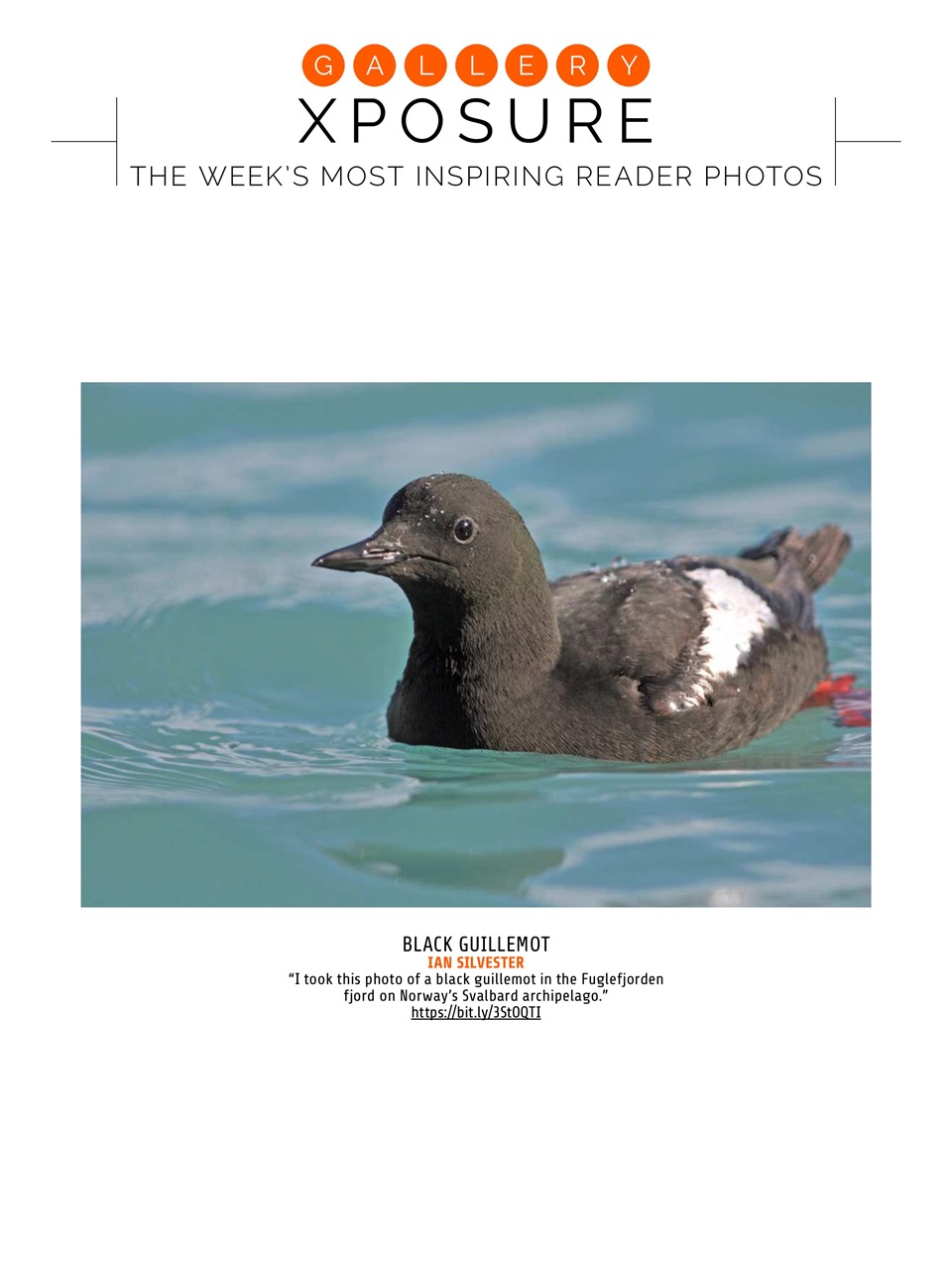Photography Week Preview Pages