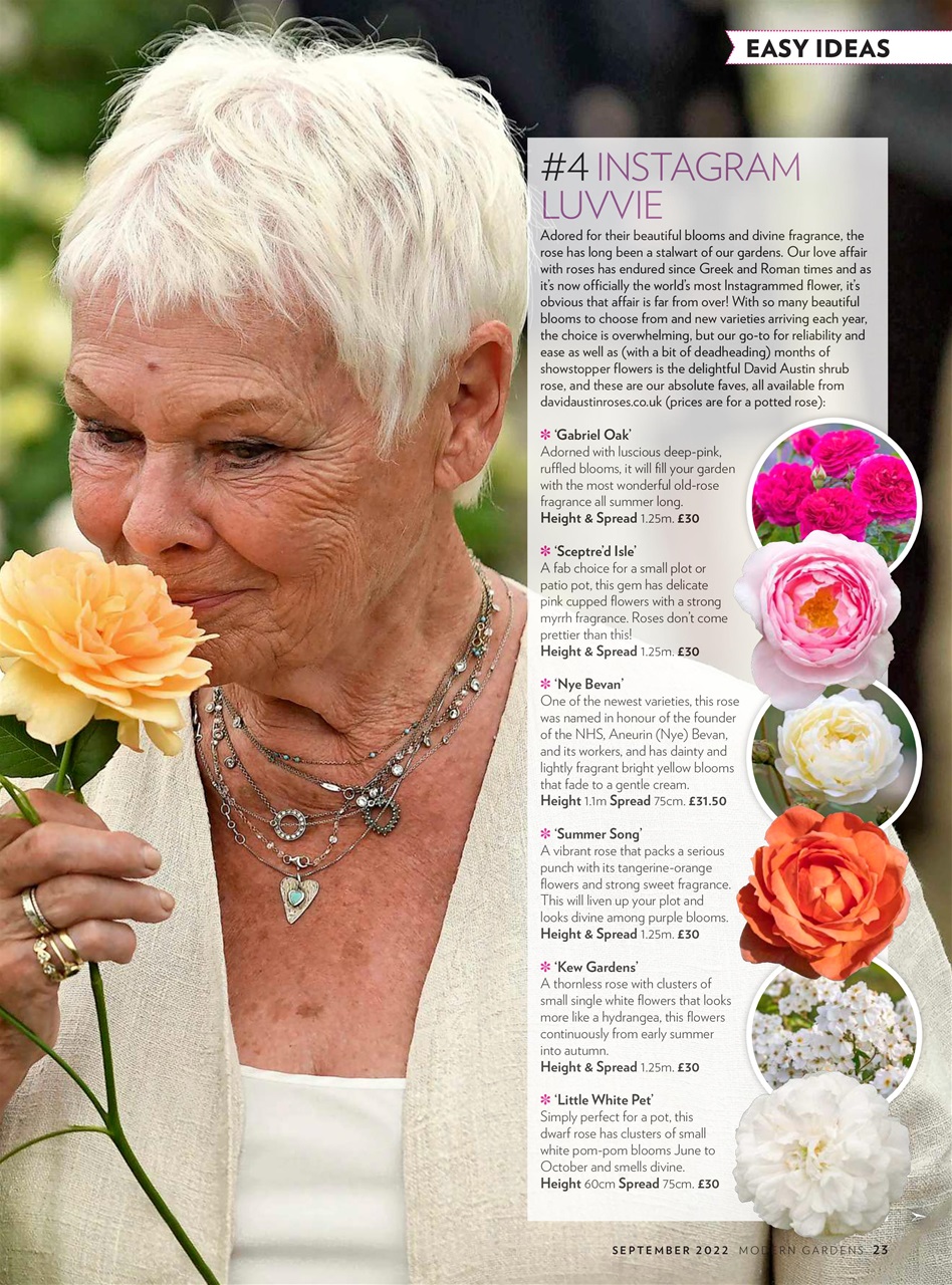 Modern Gardens Preview Pages