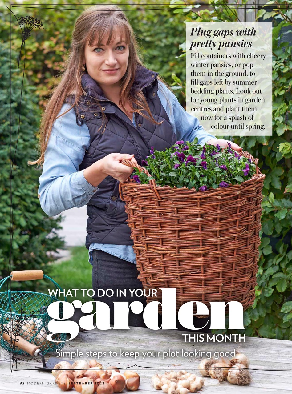 Modern Gardens Preview Pages