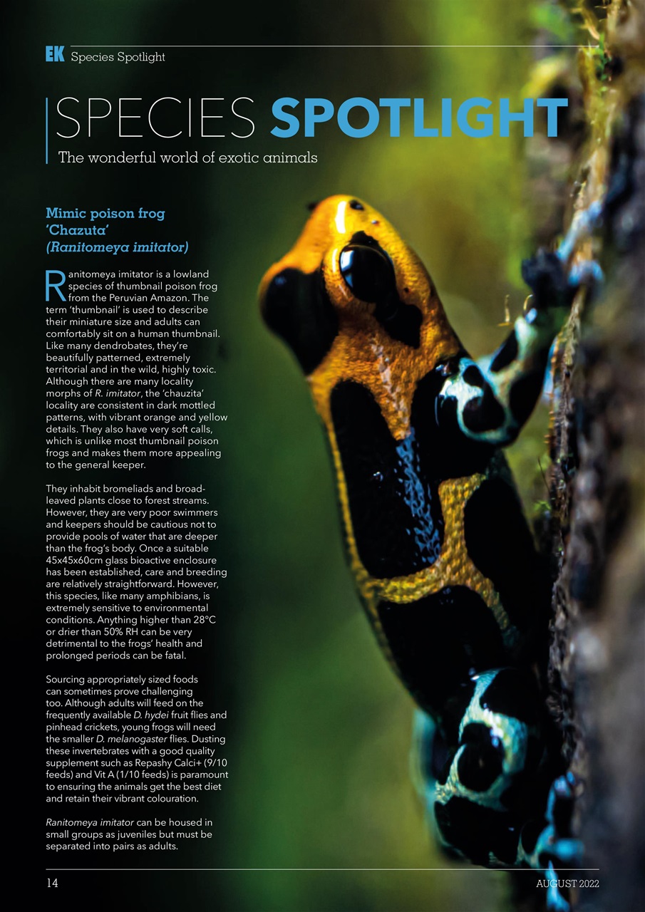 Exotics Keeper Preview Pages