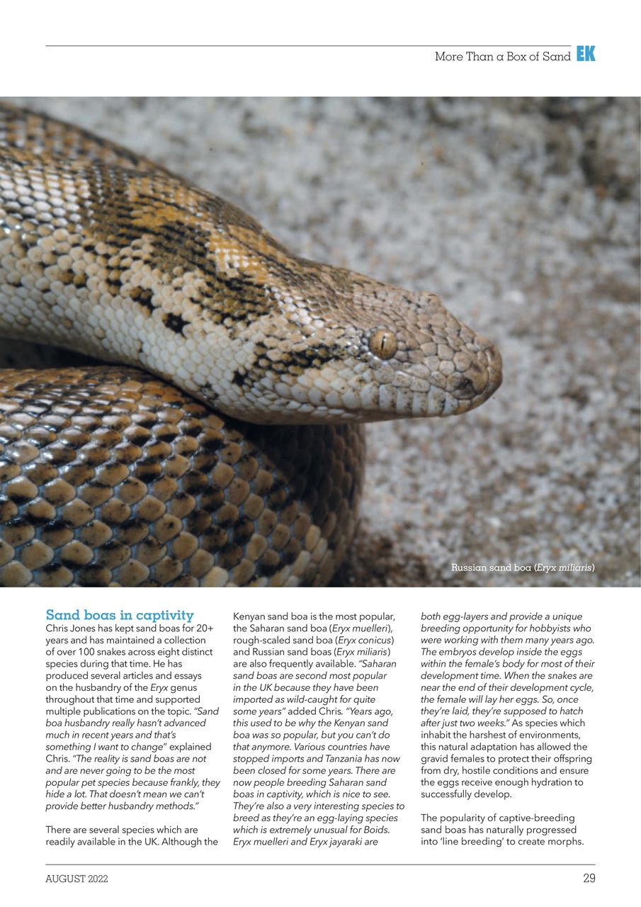 Exotics Keeper Preview Pages