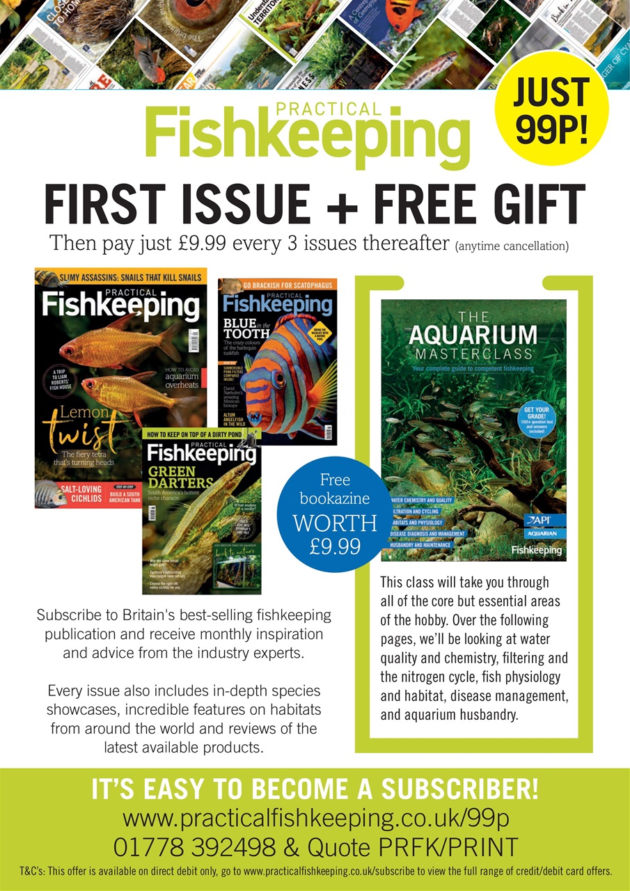 Practical Fishkeeping Preview Pages