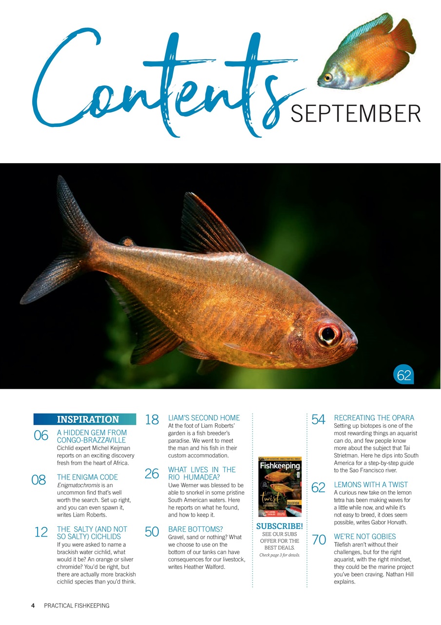 Practical Fishkeeping Preview Pages