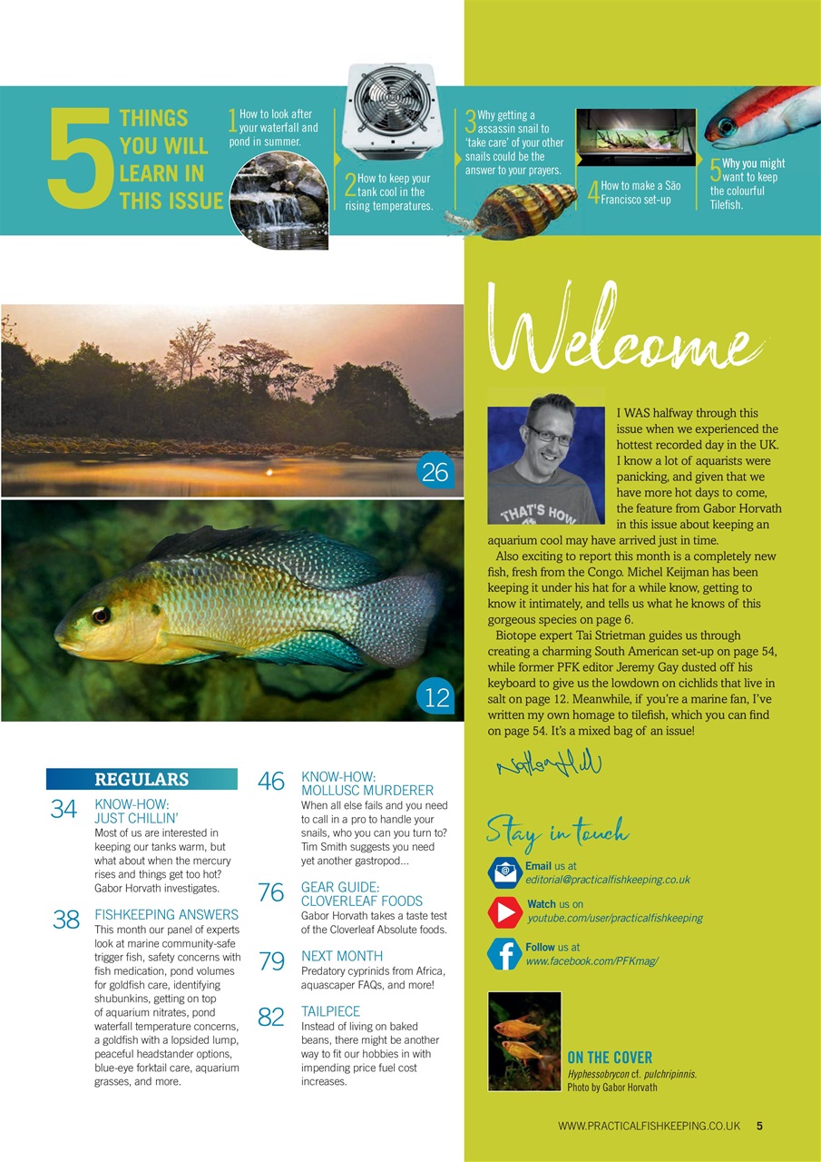 Practical Fishkeeping Preview Pages