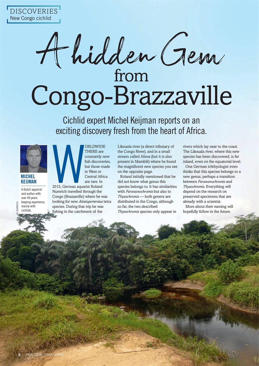 Practical Fishkeeping Preview Pages