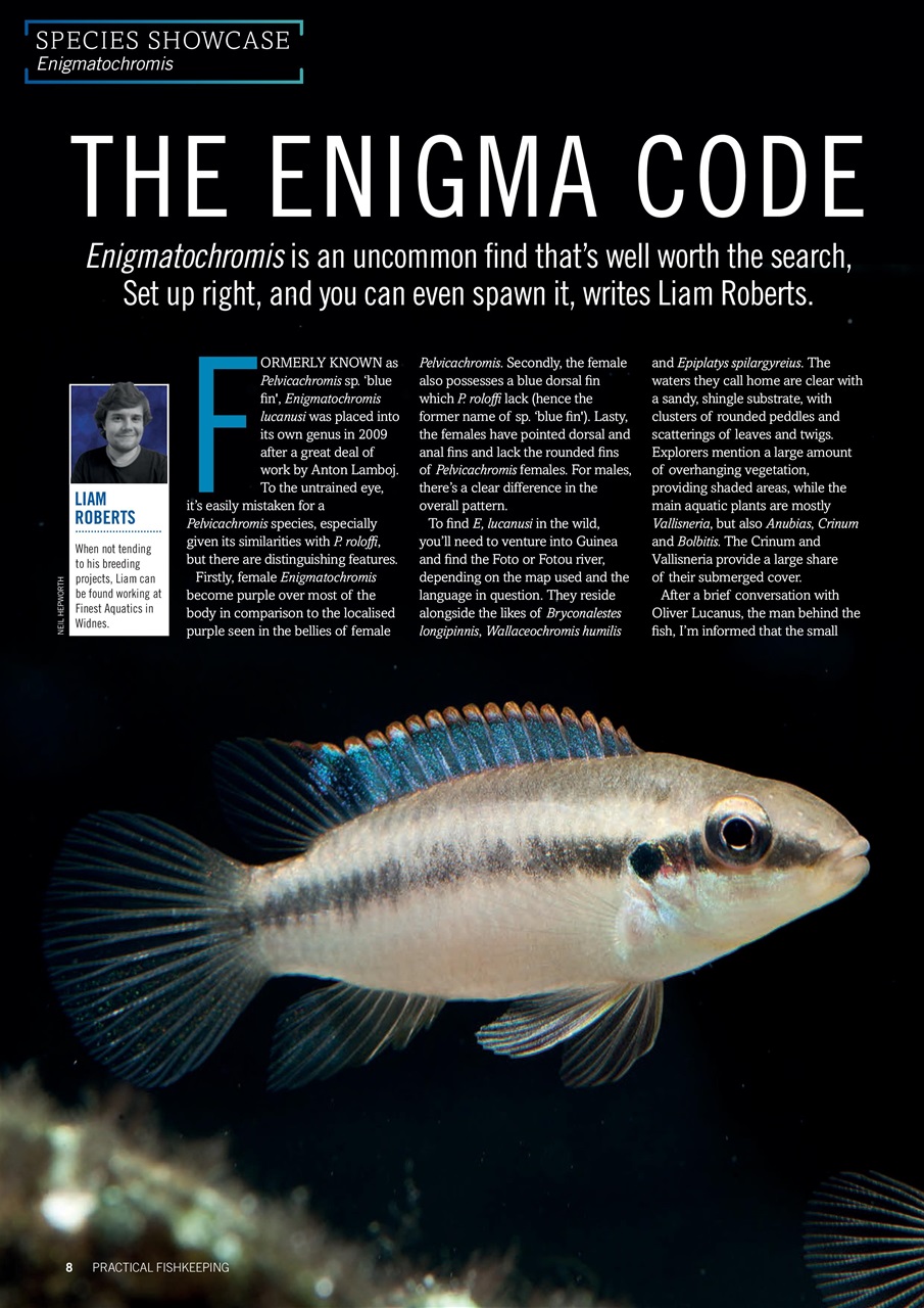 Practical Fishkeeping Preview Pages