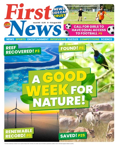 First News issue 