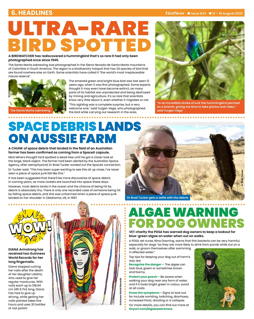 First News Preview Pages