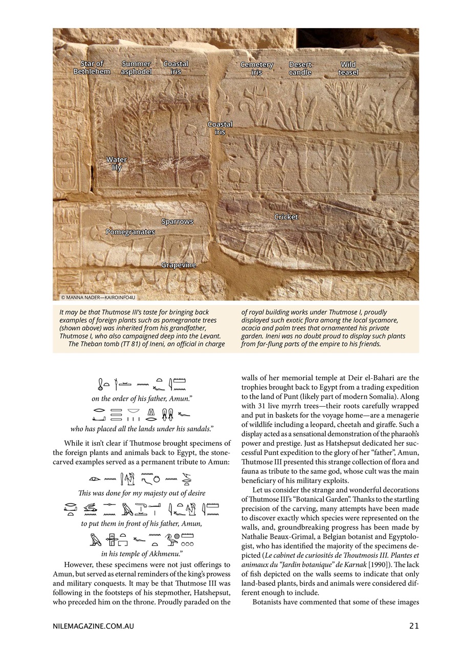 Nile Magazine Preview Pages