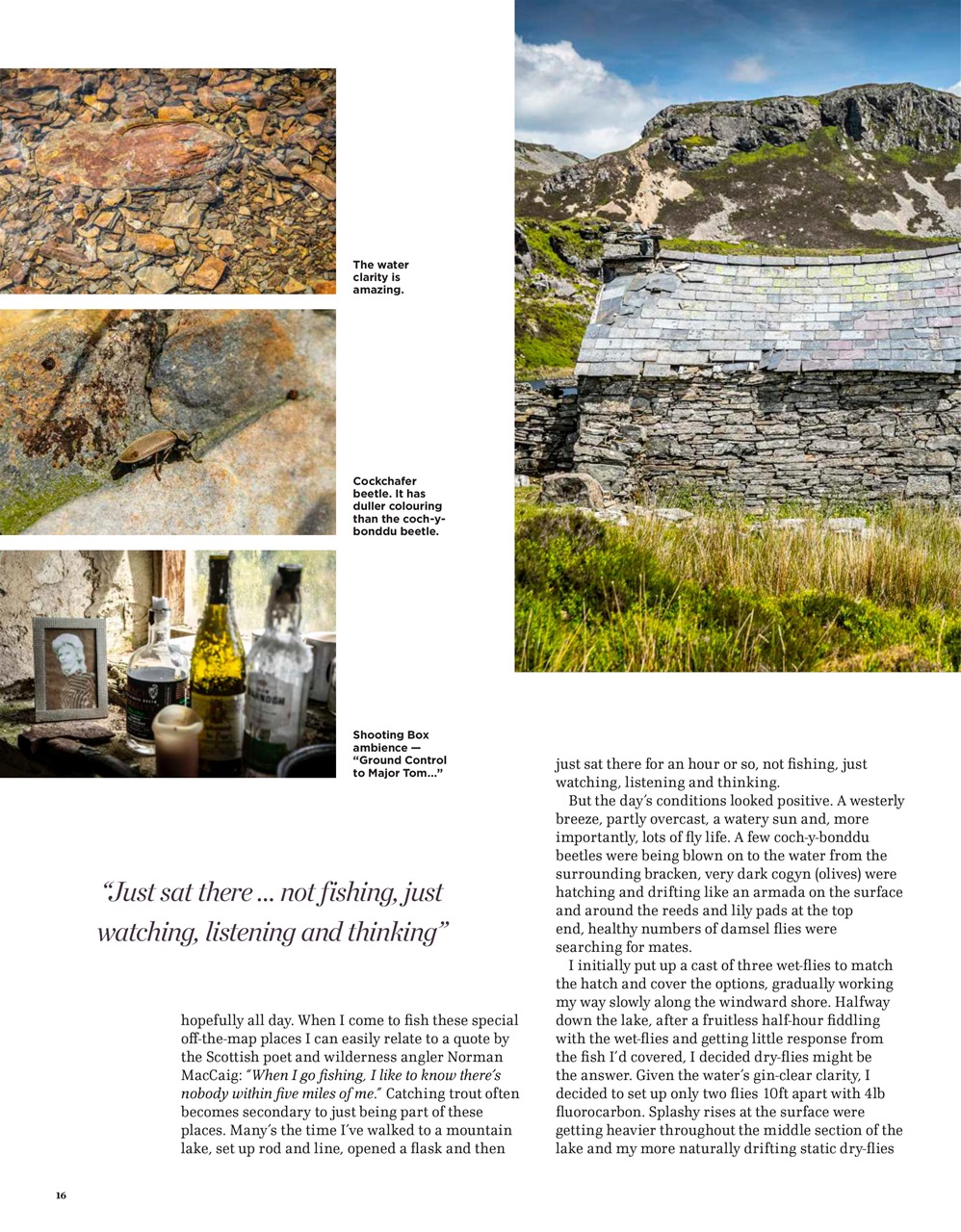 Trout & Salmon Preview Pages