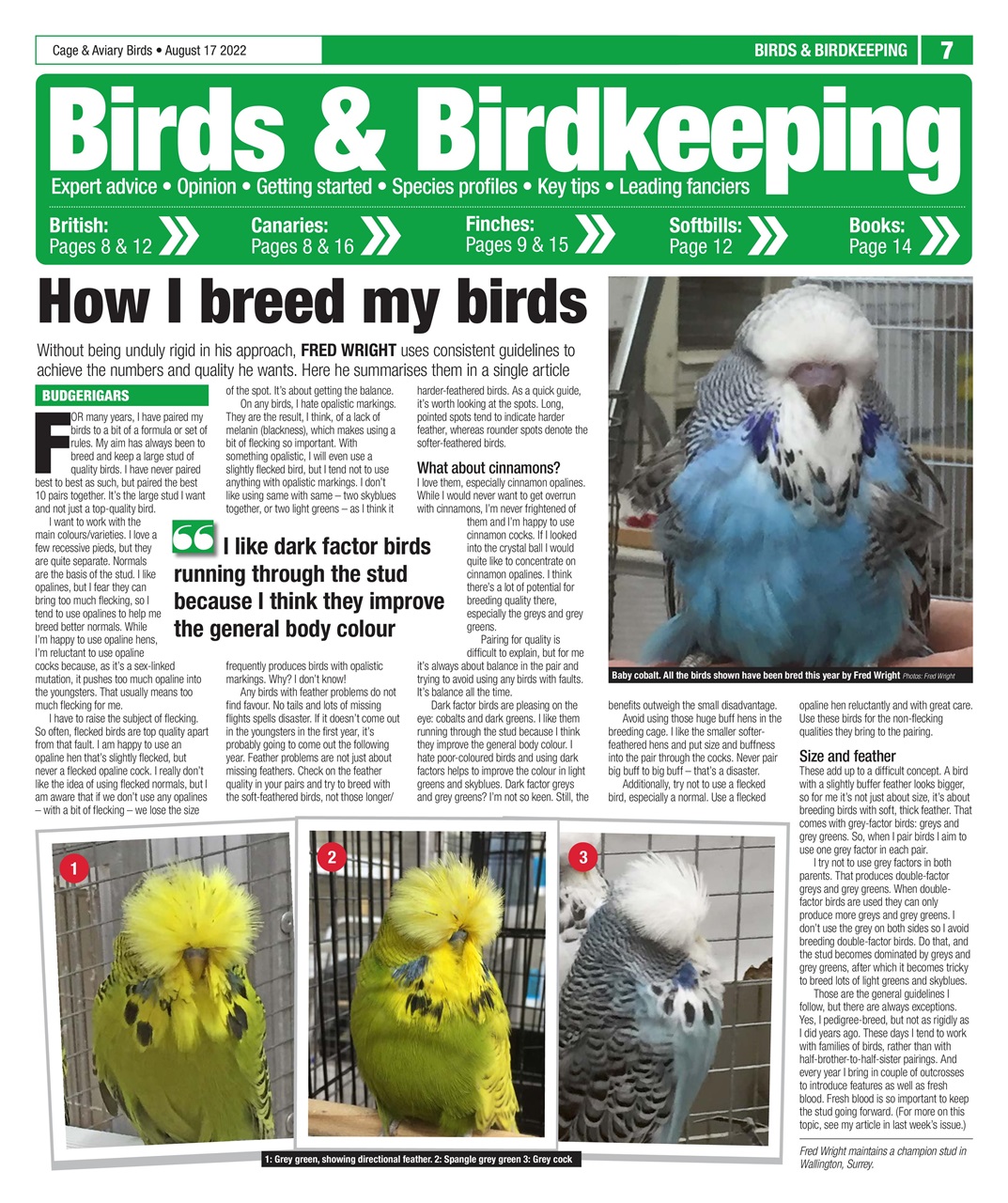 Cage & Aviary Birds Preview Pages