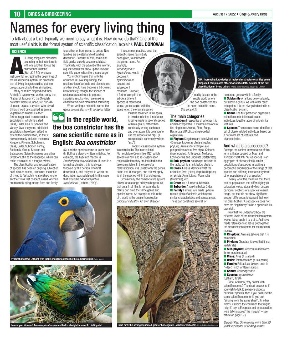 Cage & Aviary Birds Preview Pages