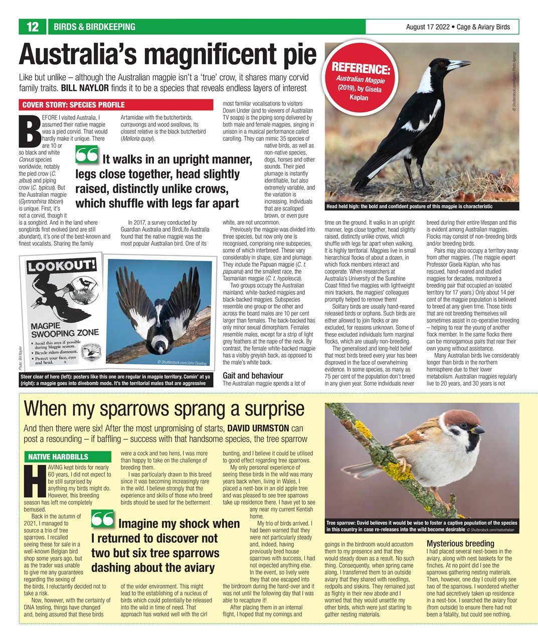 Cage & Aviary Birds Preview Pages