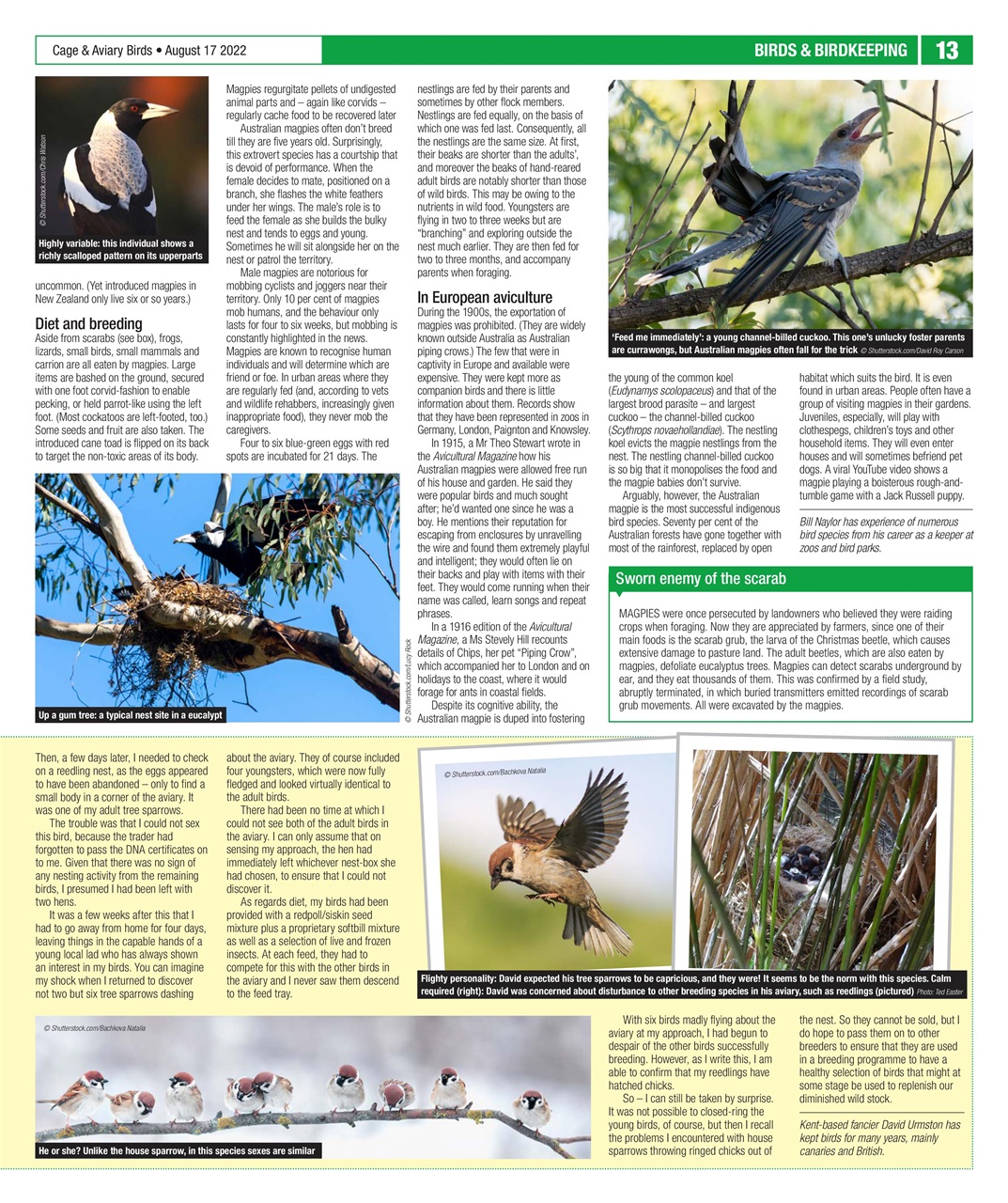 Cage & Aviary Birds Preview Pages