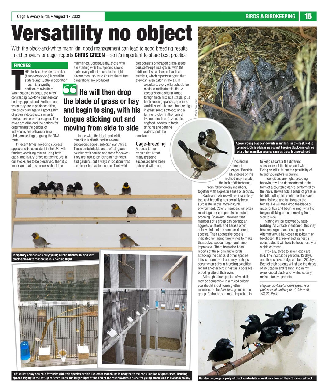 Cage & Aviary Birds Preview Pages