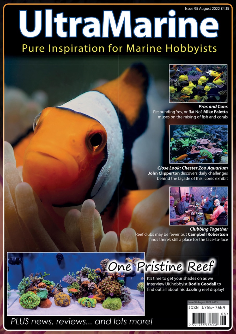 UltraMarine Magazine Preview Pages