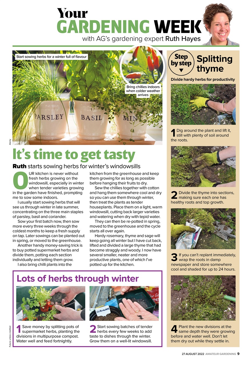 Amateur Gardening Preview Pages