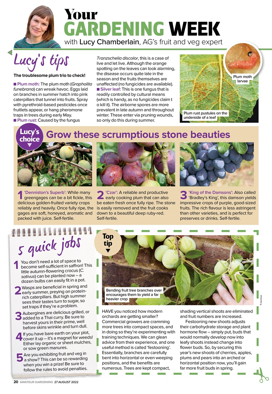 Amateur Gardening Preview Pages
