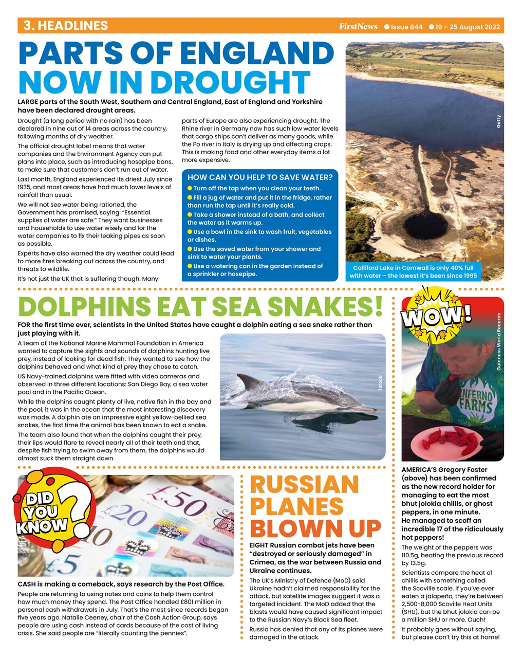 First News Preview Pages