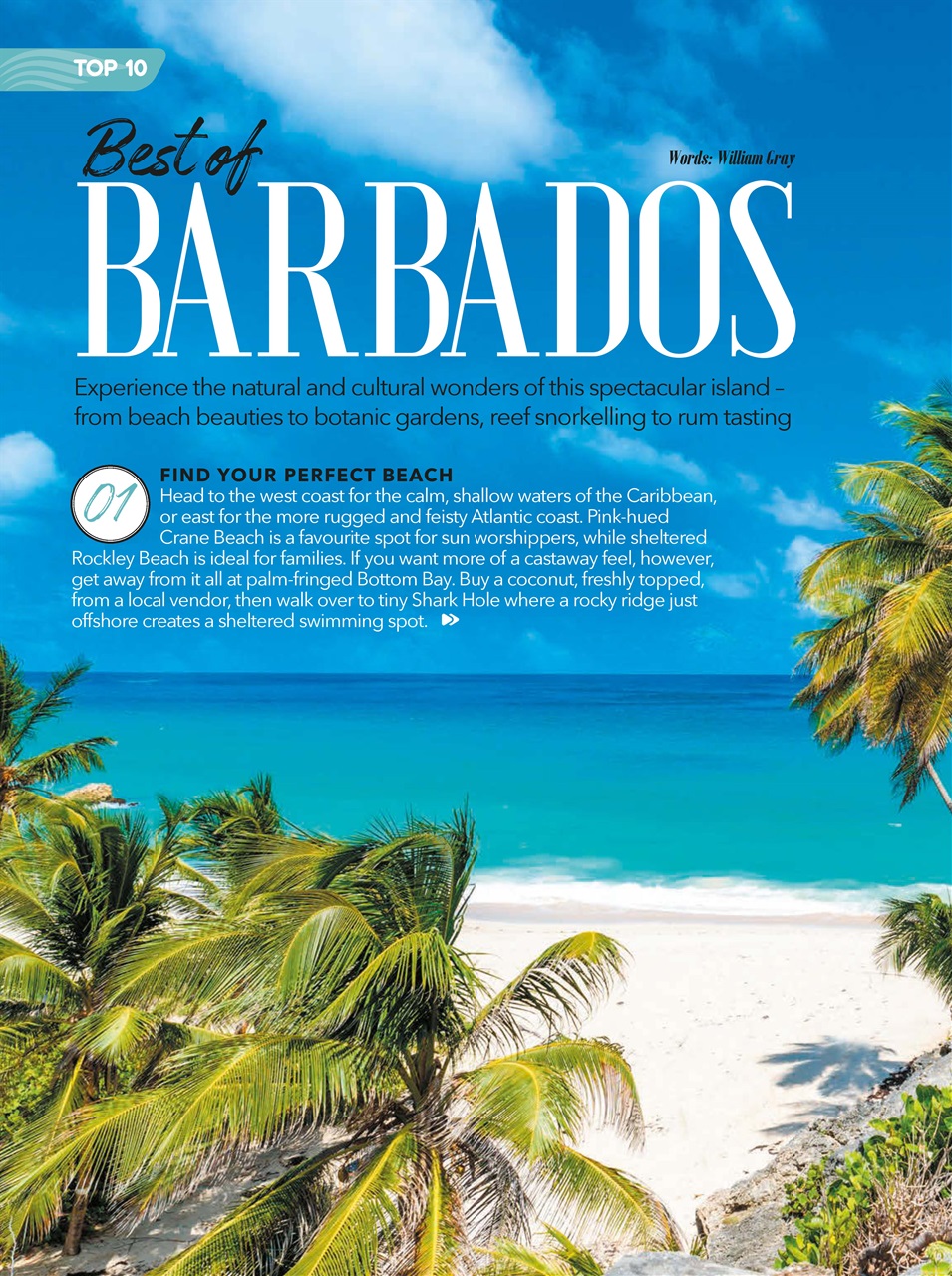 CACIQUE Preview Pages