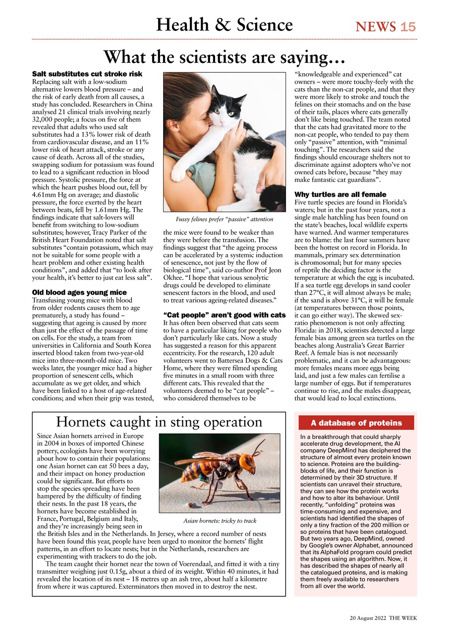 The Week Preview Pages