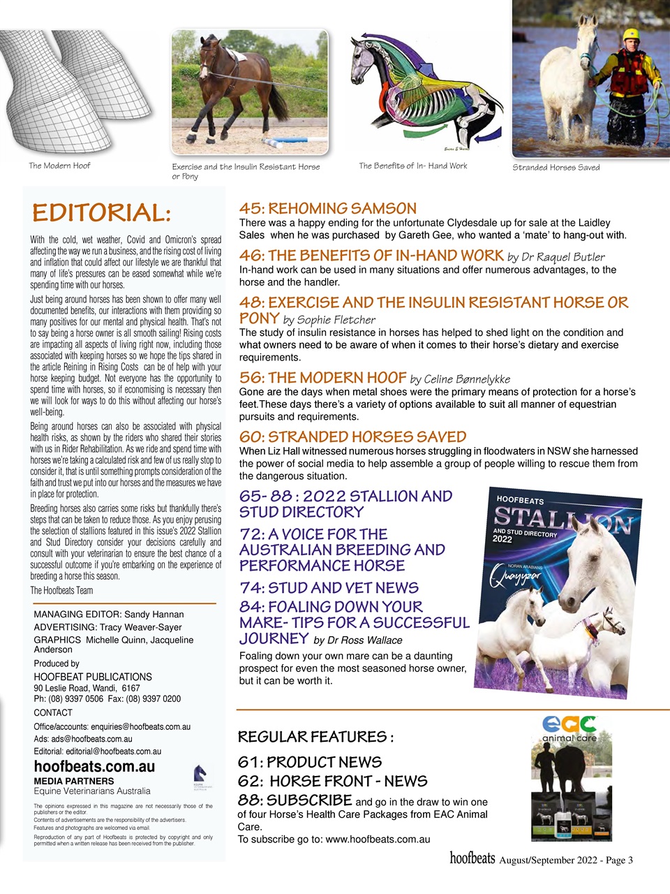 Hoofbeats Preview Pages