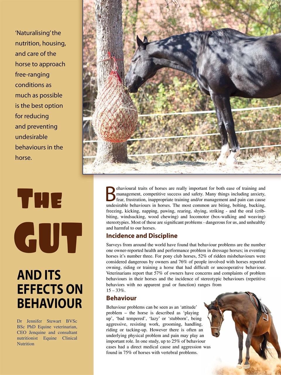 Hoofbeats Preview Pages