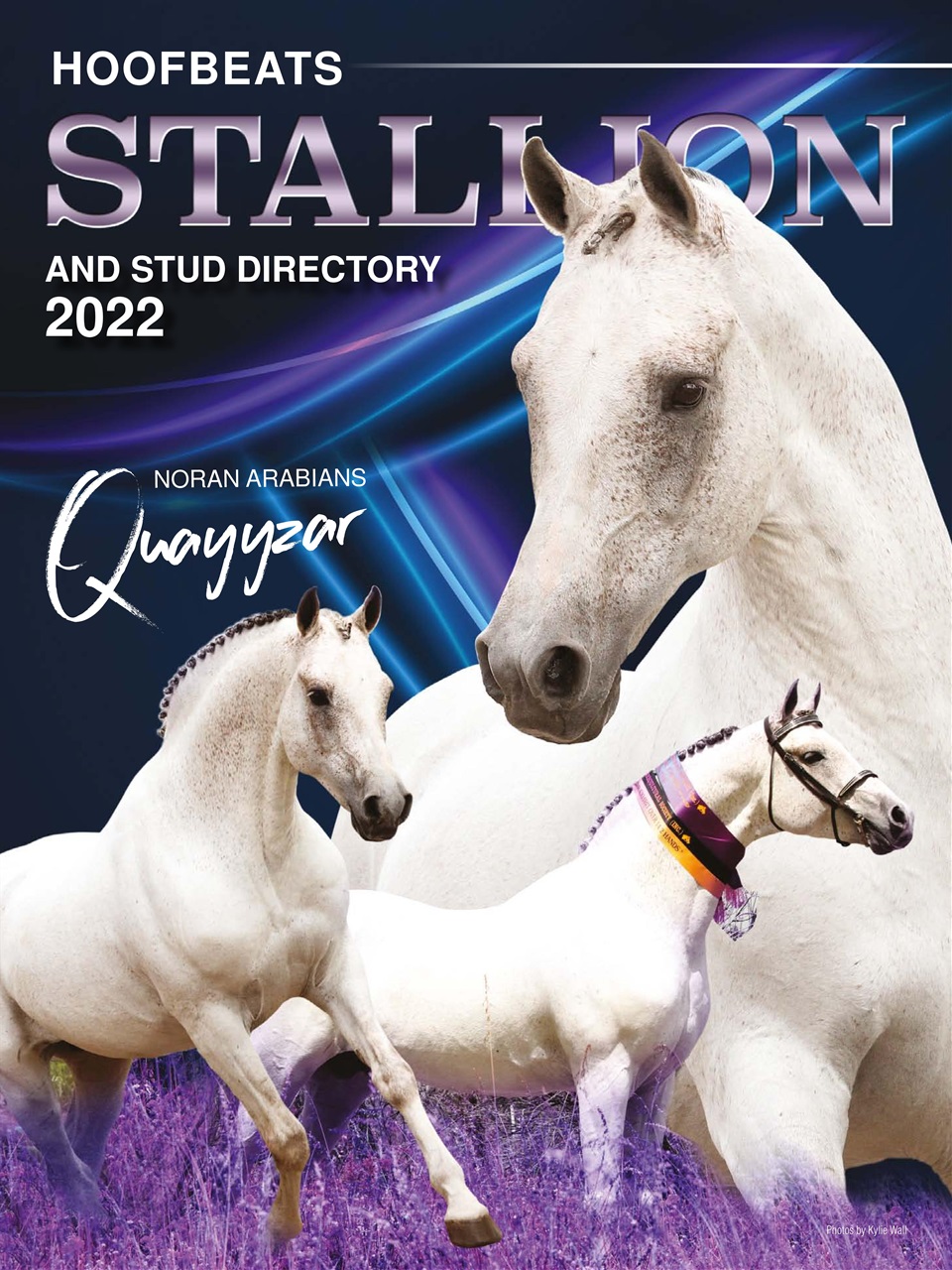 Hoofbeats Preview Pages