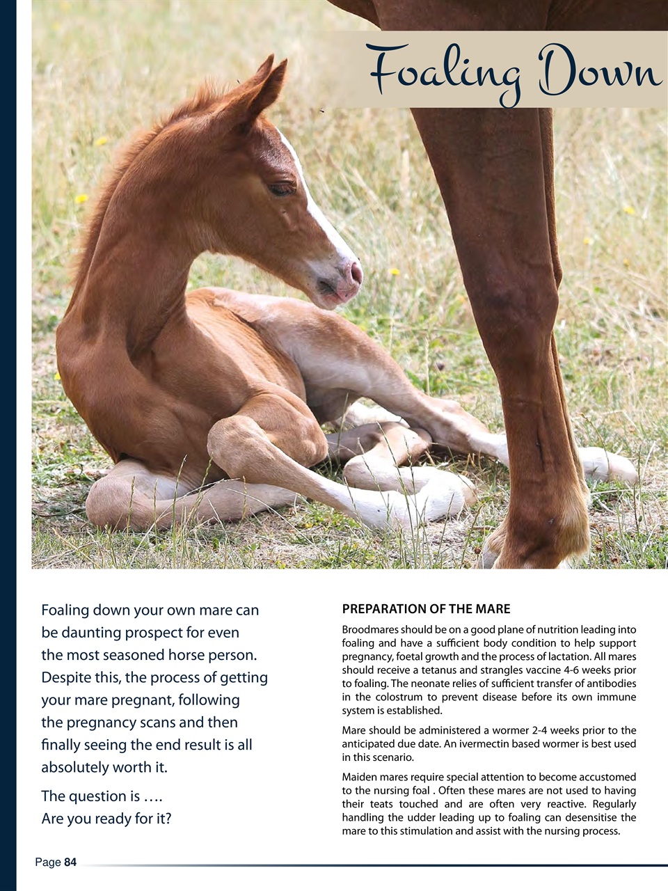 Hoofbeats Preview Pages